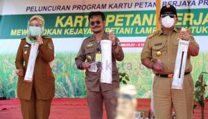 Presiden Jokowi Terus Dorong Pengembangan Korporasi Petani dan Nelayan