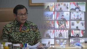 Tumbuh Positif di Tengah Pandemi, Presiden: Jaga Momentum di Sektor Pertanian