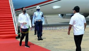 Presiden Akan Tinjau Food Estate di Kalteng