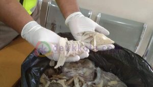 Jelang Penghujung Tahun, Volume Pengiriman SBW Capai 917 Kilogram
