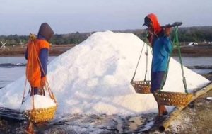 Awal Tahun Harga Garam Mahal, Tapi Target Produksi Tidak Pernah Dicapai
