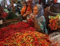 Jelang Ramadan, Harga Cabai Merah Kecil dan Bawang Putih Naik