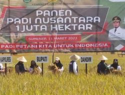 Panen Raya Padi, Bupati Fauzi: Ini Bukti Kontribusi Sumenep Menjaga Ketahanan Pangan Nasional