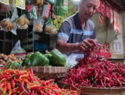 Harga Cabai Merah Besar Naik, Cabai Rawit Sedikit Melandai