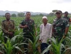 Dandim Sumenep: Produktifkan Lahan Tidur dengan Tanam Jagung