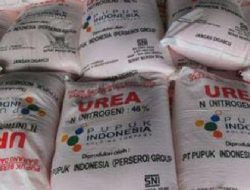 Pupuk Subsidi yang Hendak Diselundupkan ke Luar Madura Ternyata Dibeli Dari Sini