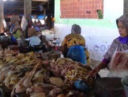 Harga Daging Ayam Mulai Naik, Sementara Harga Cabai Turun