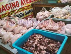 H-3 Lebaran, Harga Daging Ayam Tembus Rp 40 Ribu Per Kilogram