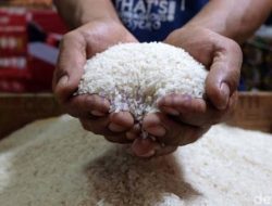 Jelang Hari Raya Idul Fitri 1444 H, Harga Beras Naik Hingga Rp 11 Ribu Per Kilogram