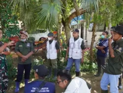 Budidaya Jagung Bisa Jadi Program Ketahanan Pangan Sumenep