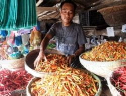 Harga Cabai Rawit di Sumenep Kembali Turun