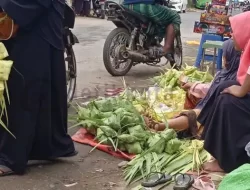 Pedagang Janur dan Ketupat Laris Jelang Lebaran Hari Ke-7 Idul Fitri