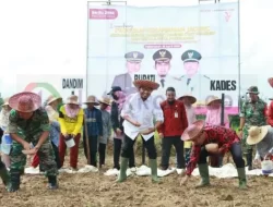 Tanam Jagung Silase, Bupati Sumenep: Beri Nilai Tambah Bagi Petani