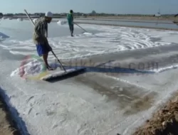 Berharap Cuaca Normal, Petani Garam Tidak Ingin Gagal Panen Lagi