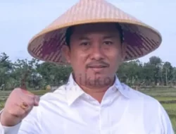 DKPP Sumenep Dukung Budidaya Jagung, Arif: Saya Terjunkan Tenaga Penyuluh