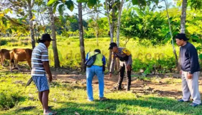 Warga menunjukkan TKP penganiayaan kepada petugas Polsek Kangean, Sumenep.