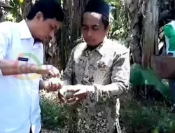 Puluhan Hektare Buah Pisang Busuk, DKPP Sumenep: Itu Bakteri dan Jamur, Bukan Virus
