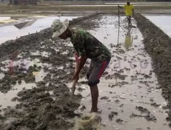 Sisa Produksi 2021 Habis, Harga Garam Tembus Rp 4,8 Juta Per Ton