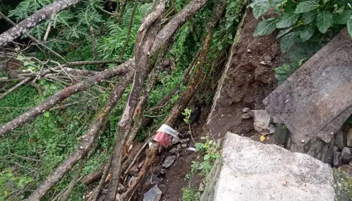 Kondisi plengsengan sempadan sungai di Desa Genteng Kulon, Kecamatan Genteng, Kabupaten Banyuwangi.