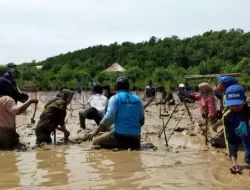 BPBD Sumenep Ajak Warga Tanam Mangrove, Ini Tujuanya