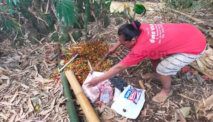 Ibu Warsini saat menemukan janin bayi meninggal di tumpukan sampah di pinggir sungai.
