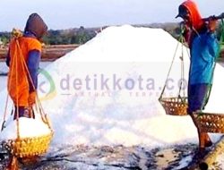PT Garam (Persero) Target Produksi Sebesar 225 Ribu Ton Musim Ini