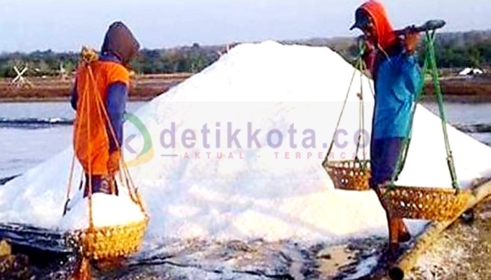 Petani garam di Sumenep mulai panen.