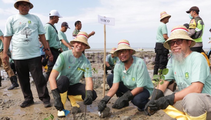 Bupati Sumenep, H. Achmad Fauzi Wongsojudo menanam pohon mangrove di di Pantai Matahari, Desa Lobuk, Kecamatan Bluto.