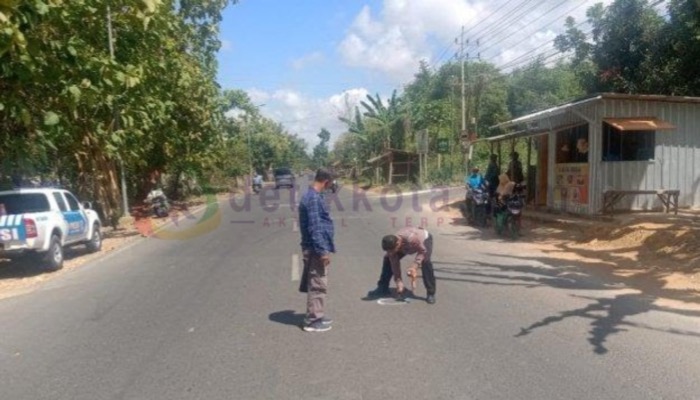 Petugas Satlantas Polres Sumenep melakukan olah tempat kejadian perkara (TKP) kecelakaan 2 motor, di Jalan Raya Lenteng, Kecamatan Batuan.