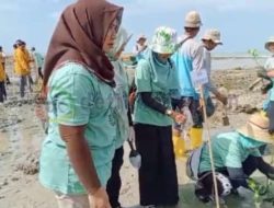 Pemdes Lobuk Komitmen Jaga Tanaman Pohon Mangrove di Pantai Matahari