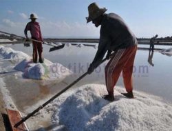 Hasil Produksi Makin Banyak, Tapi Harga Garam Makin Merosot