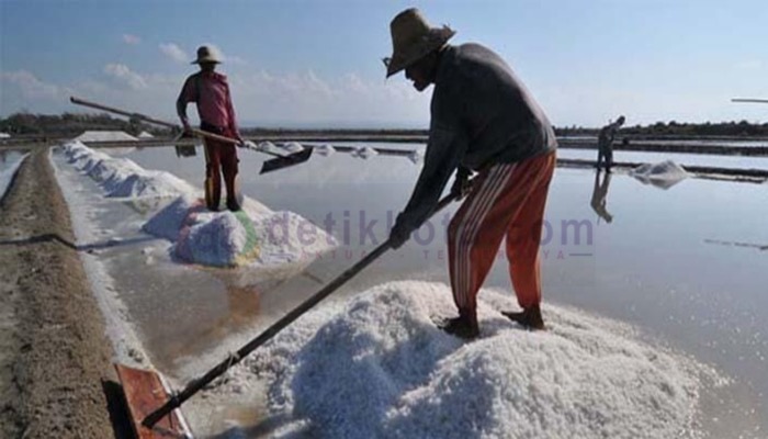 Petani di Desa Karanganyar, Kecamatan Kalianget, Kabupaten Sumenep sedang panen garam di lahan miliknya.