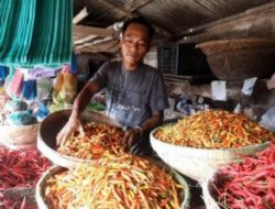 Emak-emak Pecinta Pedas Legah, Harga Cabai Rawit Turun Rp12 Ribu Perkilogram