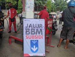 Pertamina Akan Hapus Pertalite Jadi Pertamax Green 92, Apa itu?