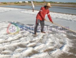 Terus Melorot, FKPGM Minta Harga Garam Memihak Petani