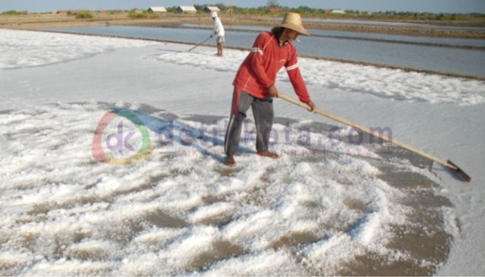 Petani garam di Desa Karanganyar, Kec. Kalianget, Kab. Sumenep sedang panen.