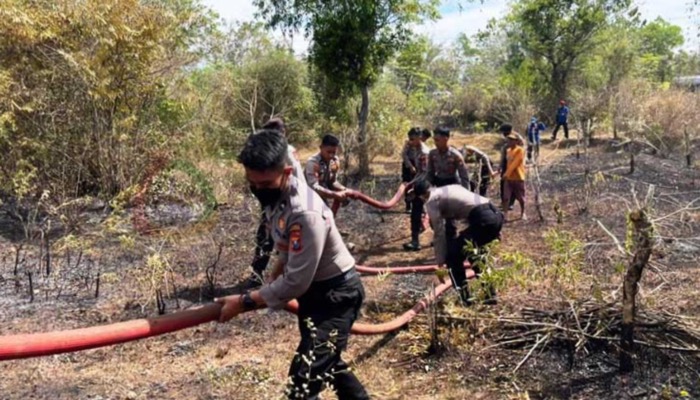 Kebakaran di Huta Kota, Desa Kebunagung, Kec. Kota, Kab. Sumenep musim kemarau tahun lalu.