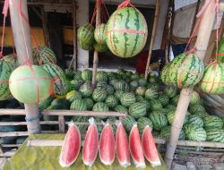Pedagang Buah Ketiban Berkah di Bulan Maulid Nabi Muhammad SAW