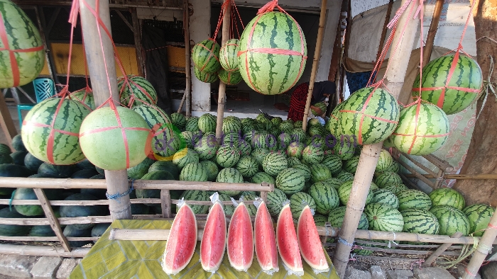 Salah seorang pedagang buah semangka di Desa Parsanga, Kecamatan Kota Sumenep.