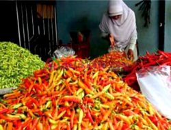 Harga Cabai Mahal, Komoditas Lain Masih Stabil