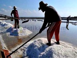 Produksi Garam di Sumenep Lampaui Target, Komisi III Ingatkan Peningkatan Teknologi