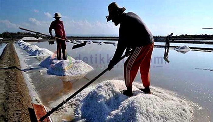 Para petani sedang panen garam di lahan produksi, Desa Karanganyar, Kec. Kalianget, Kab. Sumenep.