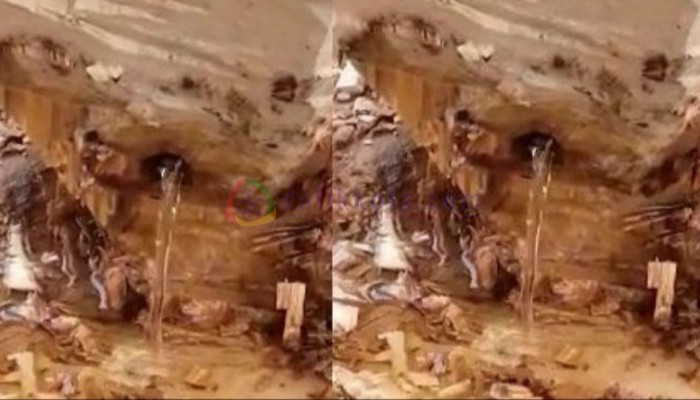 Tangkapan layar video viral air keluar dari pohon saga yang baru ditebang pemiliknya.