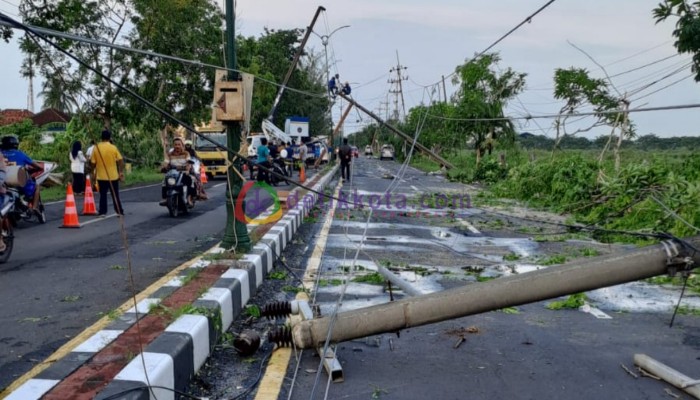 Petugas gabungan sedang memindahkan pohon dan tiang listrik yang menutupi jalan nasional di Desa Nambakor dan Desa Patean.
