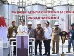 Jokowi Resmikan Pabrik Minyak Makan Merah Pagar Merbau Deli Serdang