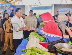Jokowi Pantau Harga Bahan Pokok di Pasar Merangin Jambi