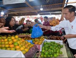Presiden Jokowi Berkunjung ke Pasar Buah Barastagi Kabupaten Karo