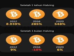 Bitcoin Halving Akan Terjadi, Besok! Apakah Harga Langsung Naik Setelah Halving?