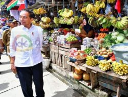 Kunjungan Perdana ke Mamasa, Jokowi Cek Harga Bahan Pokok serta Infrastruktur Pasar