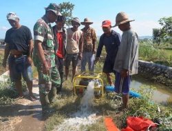 Babinsa Terus Melakukan Pendampingan Percepatan Pompanisasi di Desa Kambingan Timur